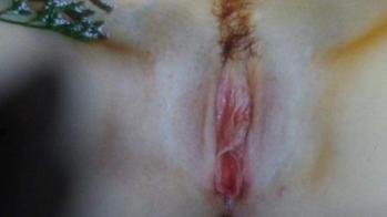 2134332145, female escort, Redding